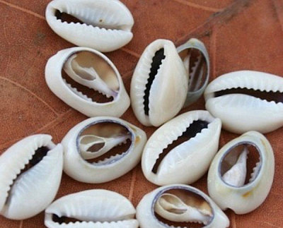 Votre marabout guérisseur - A votre service 24h/24 et 7j/7 Tèl: (+229) 67 73 10 93